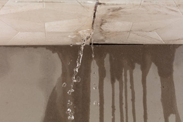 Professional Water Damage Repair technician working in Hobson, TX
